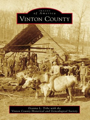 cover image of Vinton County